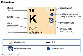 Image result for What Is Potassium Symbol