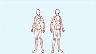 Image result for How to Draw Human Body Using Shapes