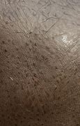 Image result for Hippo Skin Thickness