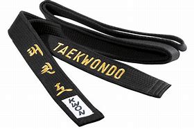 Image result for Black Belt in Taekwondo Cartoon