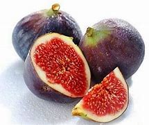 Image result for Buah Ara