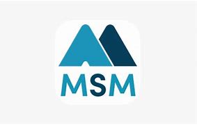 Image result for MI Msm