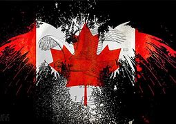 Image result for Canadian Birds of Prey