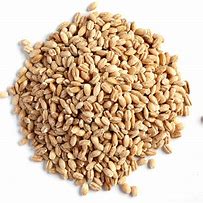 Image result for Pearl Barley GI