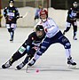 Image result for World Cup Bandy