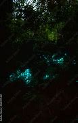 Image result for Glow in the Dark Plastic Worms