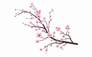 Image result for Cherry Blossom Tree Branches