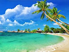 Image result for Simple Beach View Backgrounds