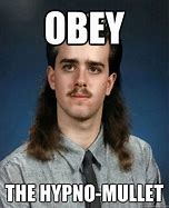 Image result for Funny Mullet