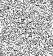 Image result for White Noise BG