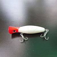 Image result for Popper Lure