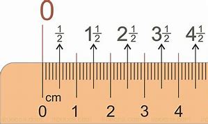 Image result for 50 mm Ruler