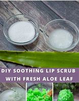 Image result for Aloe Vera Lip Scrub