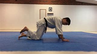 Image result for Aikido Step by Step