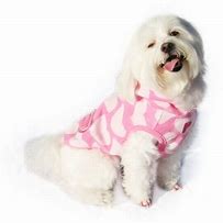 Image result for Clothes for Dogs Product