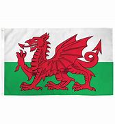 Image result for Welsh Dragon USA Flag