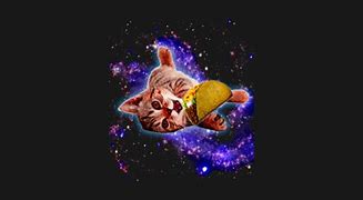 Image result for Space Cat and Taco Meme