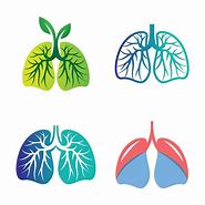 Image result for Lung Leaf Logo