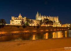 Image result for Palma Della Porta