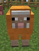 Image result for Orange Dye Minecraft