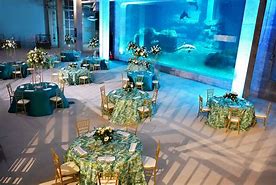 Image result for Cafe Ohio Aquarium Event