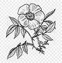 Image result for Flower Clip Art Black and White Drawings