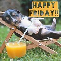 Image result for Happy Friday Cute Animals