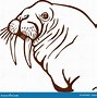 Image result for Walrus Rhyme