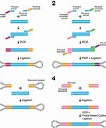 Image result for Barcode Trim