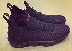 Image result for LeBron 16 Championship