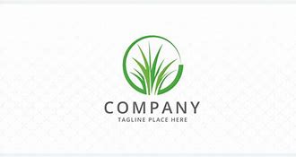 Image result for Lawn Care Logo Grass