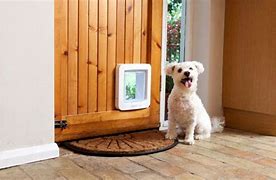 Image result for Smart Dog Door