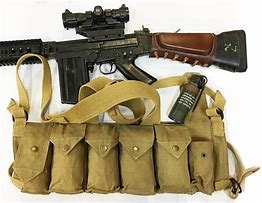 Image result for AWS M14 Chest Rig