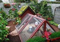 Image result for Backyard Homestead Design