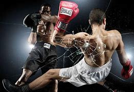 Image result for Kickboxing Pole