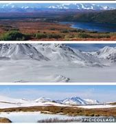 Image result for Beautiful Tundra Biome