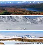 Image result for Tundra Biome Mountains