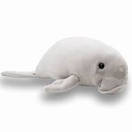 Image result for Dugong Stuffed Animal