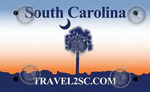 Image result for South Carolina License Plate with Wolf