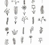 Image result for Plant Drawing