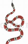 Image result for Gucci Snake PNG