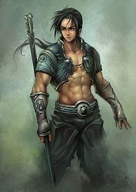 Image result for Male Wood Elf Monk