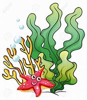 Image result for cartoon sea coral reef