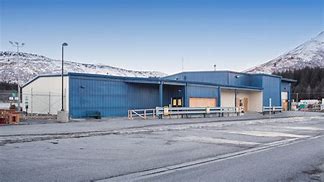 Image result for Kodiak Bear Anchorage Airport