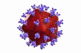 Image result for Gambar Orang HIV