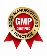 Image result for GMP Logo