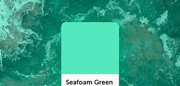 Image result for Green Foam Pads