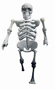 Image result for Giant Skeleton From Tower Defense Similar