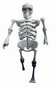 Image result for Giant Skeleton SCP