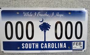 Image result for South Carolina License Plate with Wolf